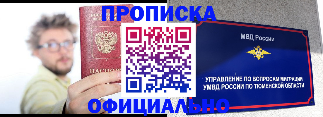 прописка поиск в Новгородской области